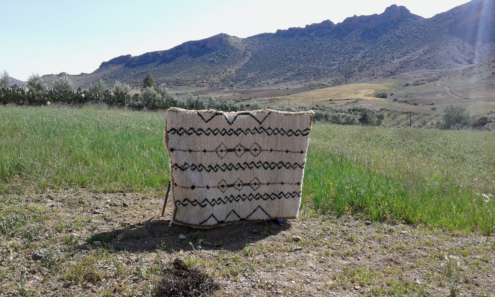 Pile Knot Rug