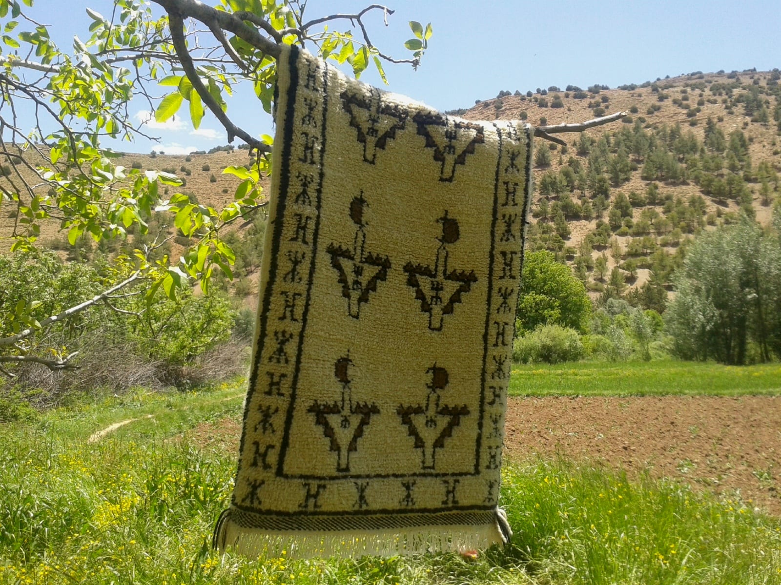 Beni Ourain Rug