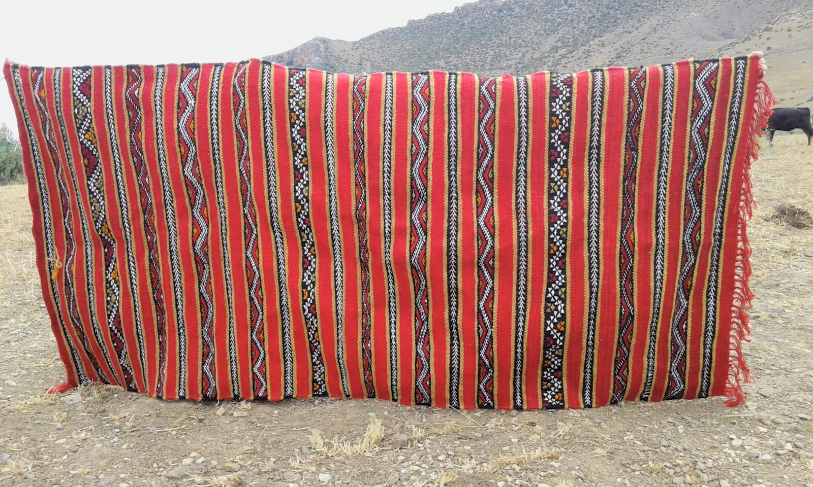 Flatweave Rug