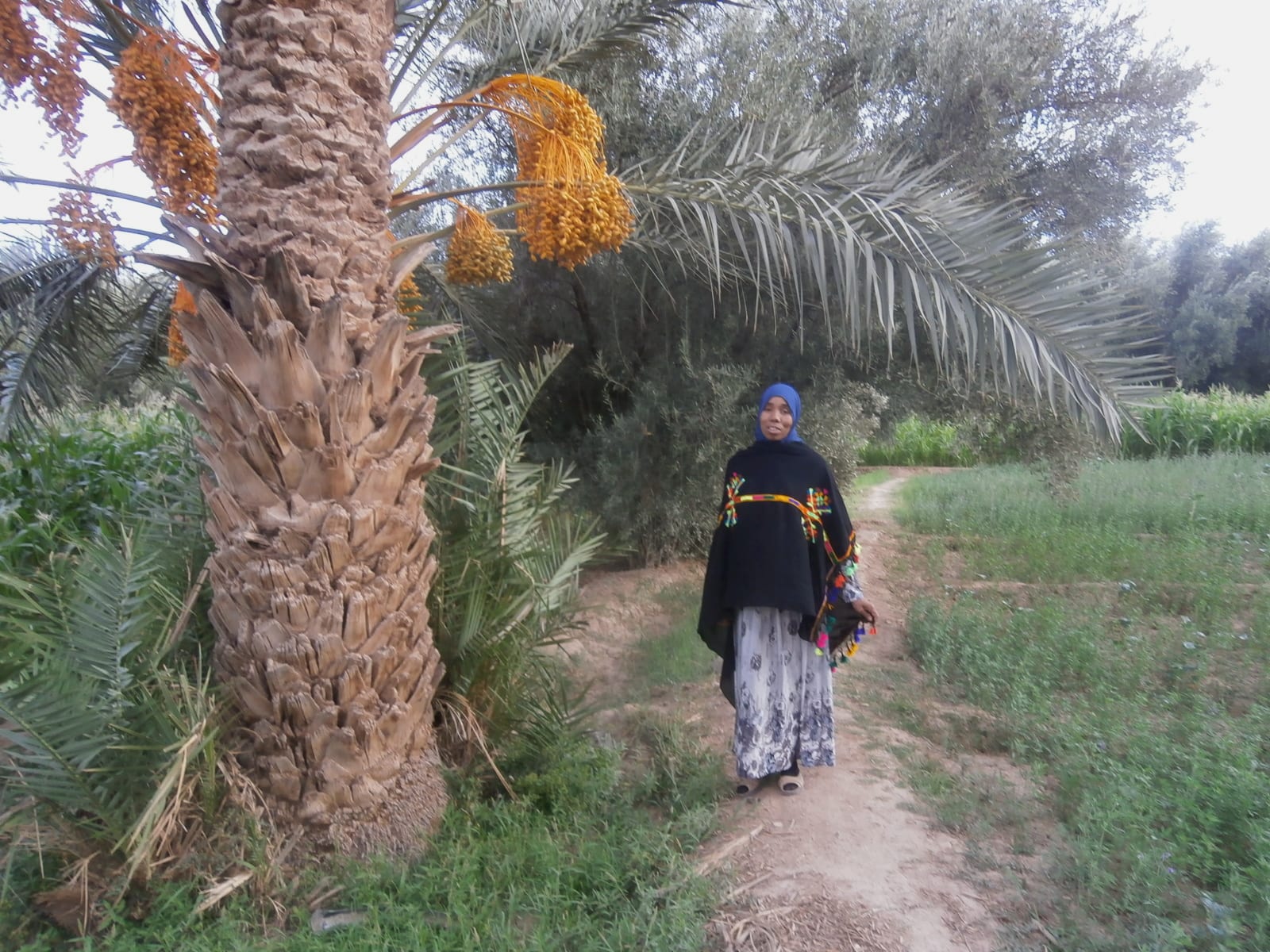 Tahrouit