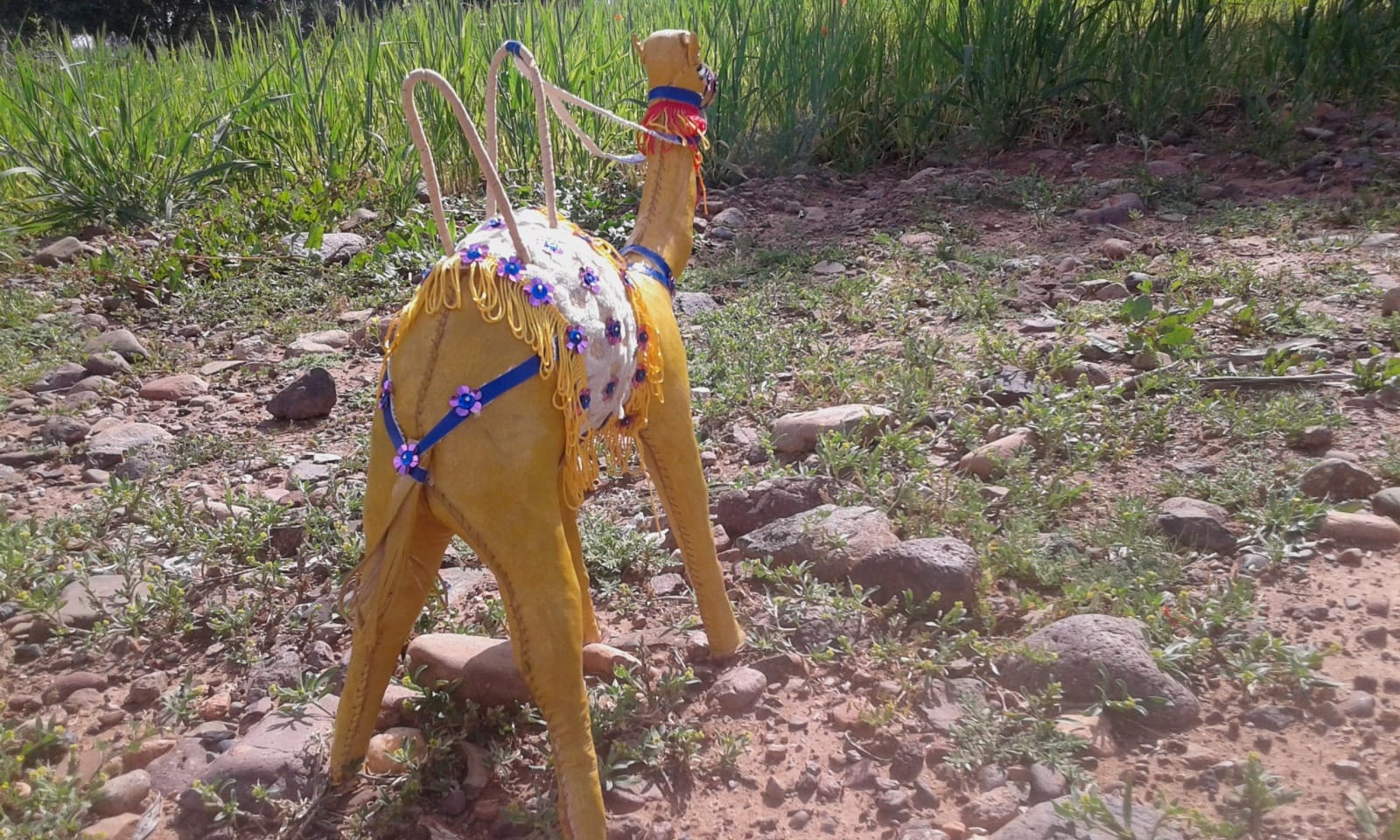 Toy Camel