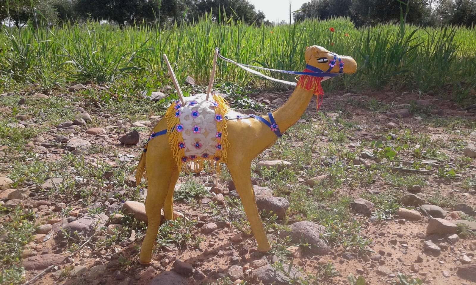 Toy Camel