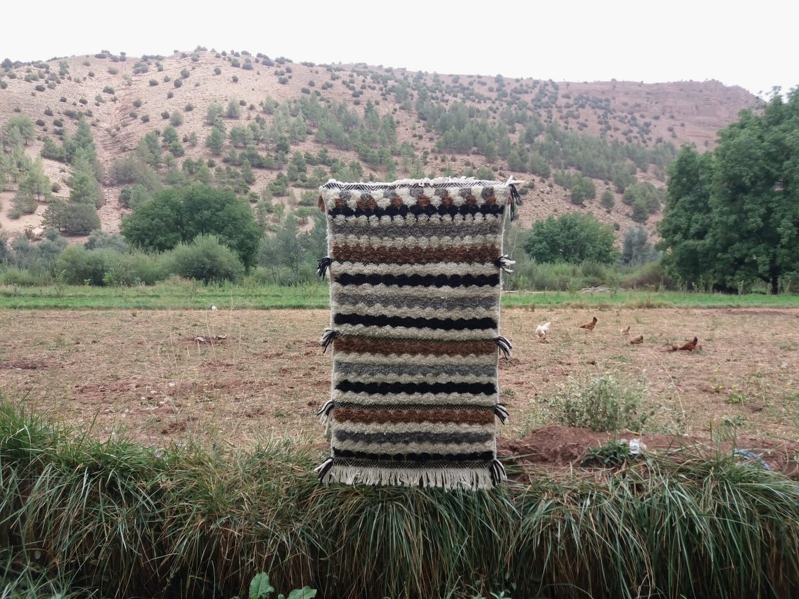  Beni Ourain Rug Wool  and Thread Colored Morocco