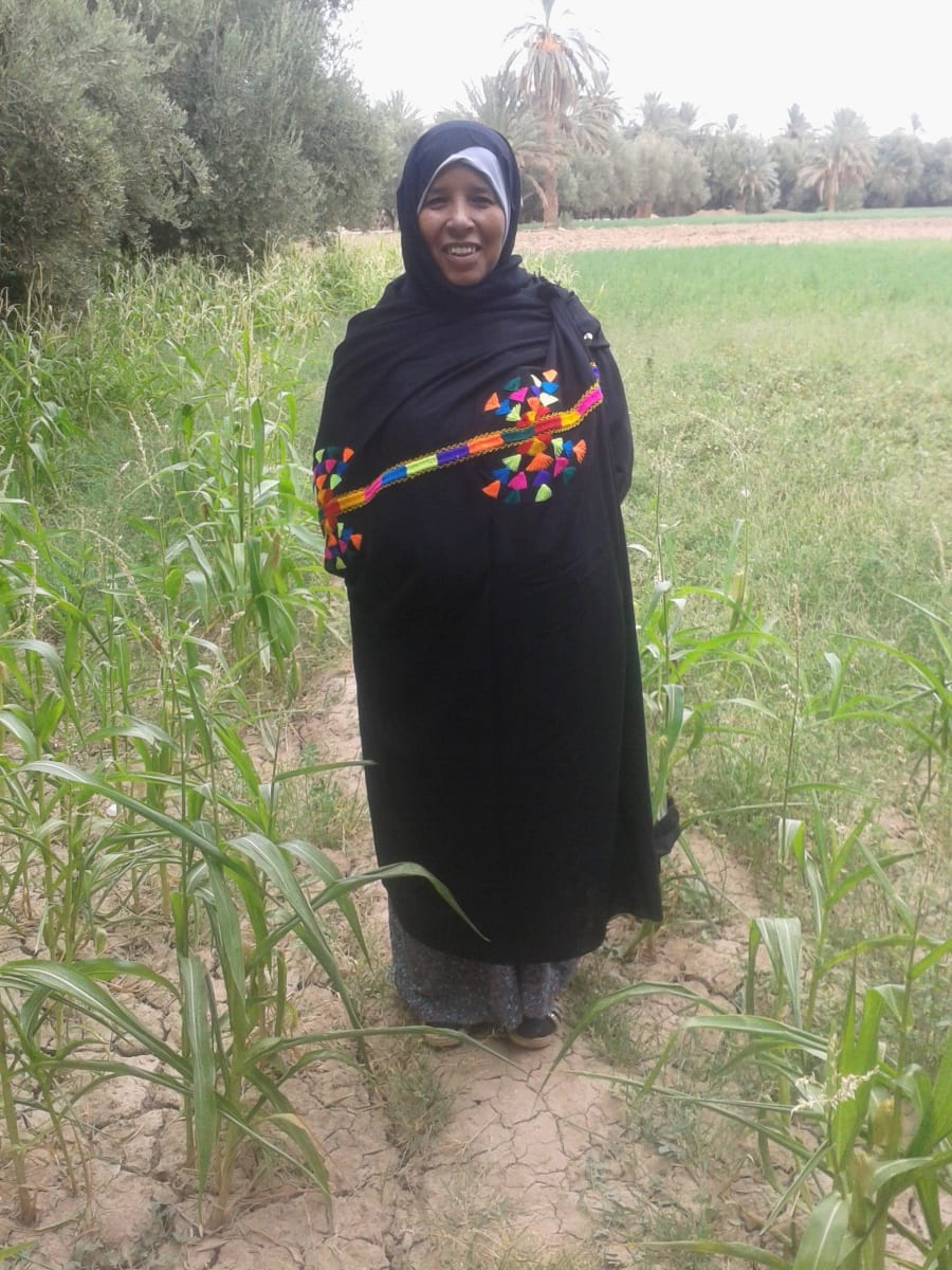 Tahrouit