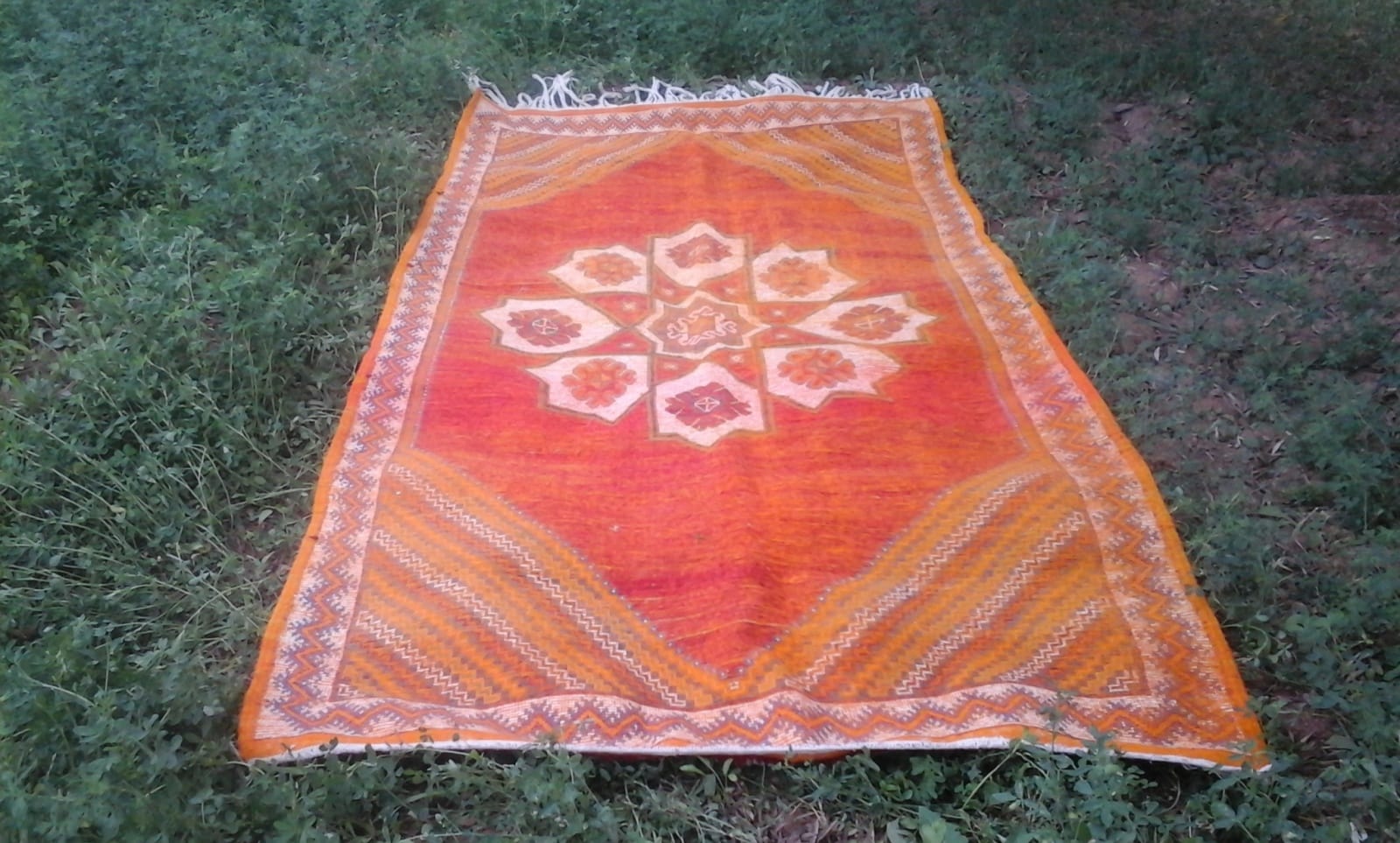  Pile Knot Rug  Cotton Warp Colored Morocco