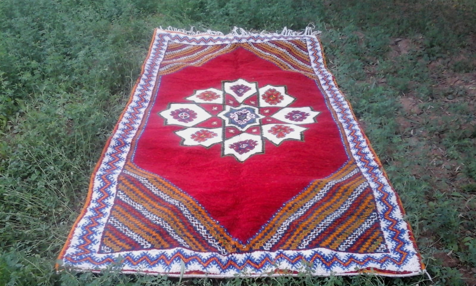  Pile Knot Rug  Cotton Warp Colored Morocco
