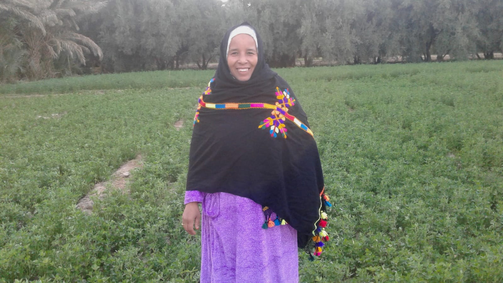 Tahrouit
