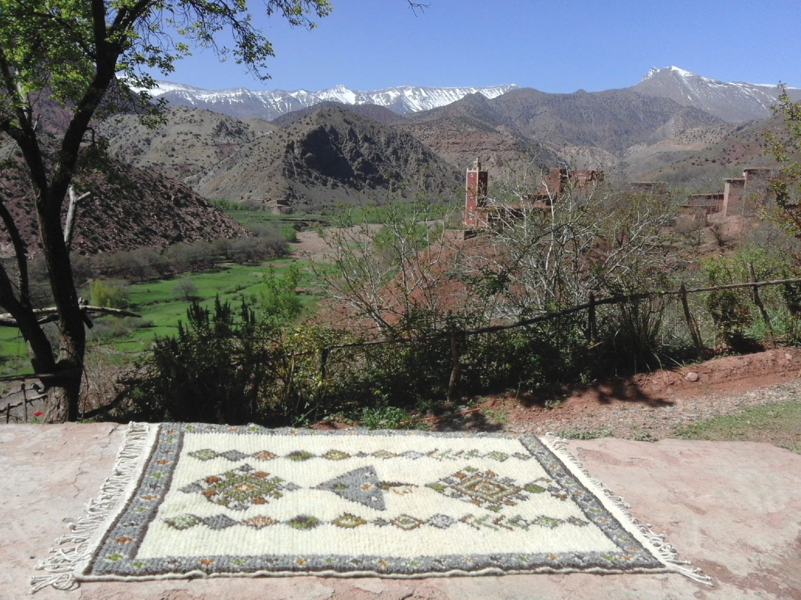  Pile Knot Rug Wool Colored Morocco