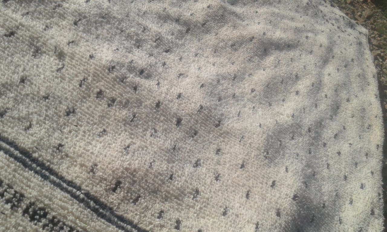 Azilal Rug