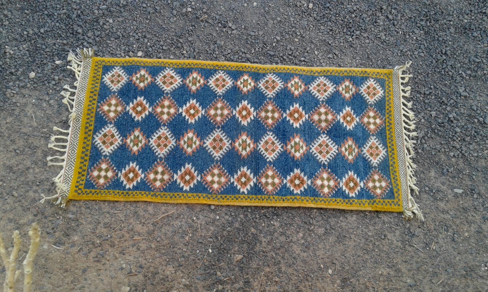  Zerbya  Blue Morocco