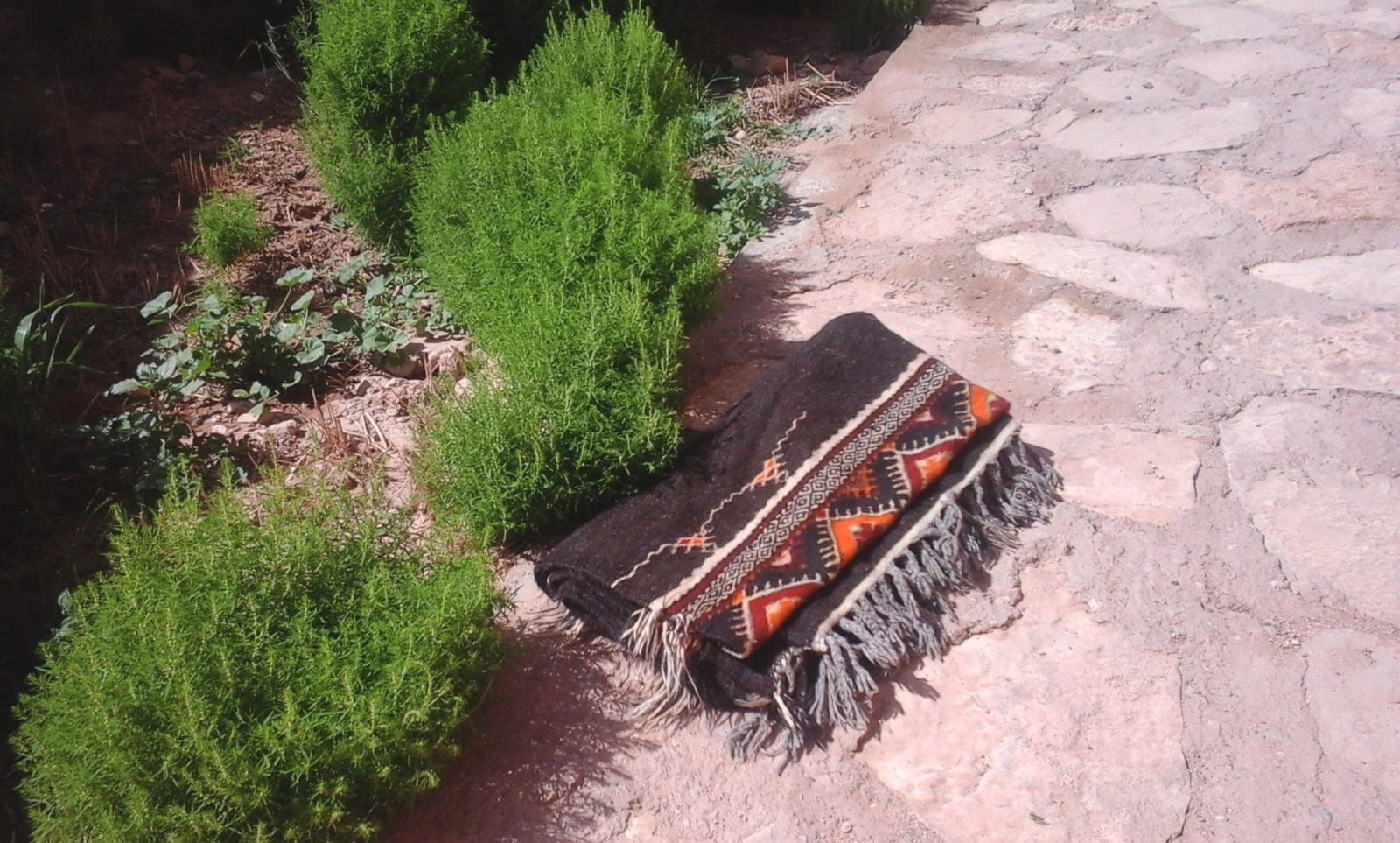  Flatweave Rug Goat Hair  Colored Morocco