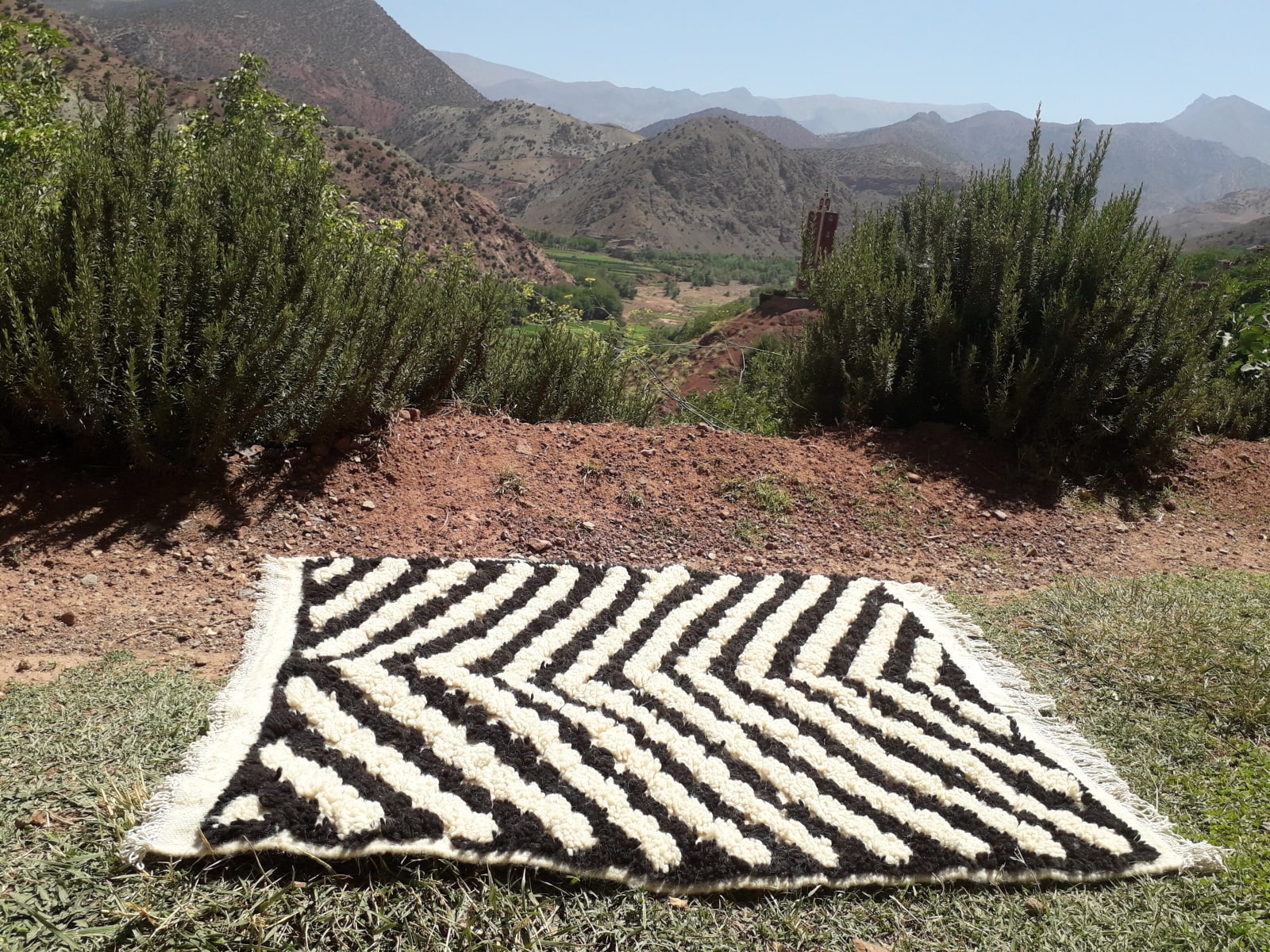  Pile Knot Rug Wool Black, White Morocco