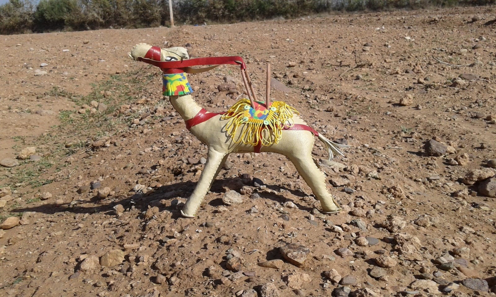 Toy Camel