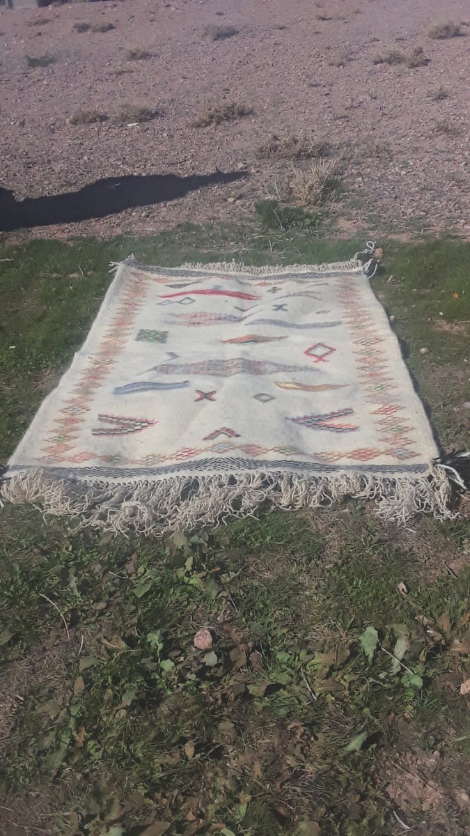  Flatweave rug  Colored Morocco