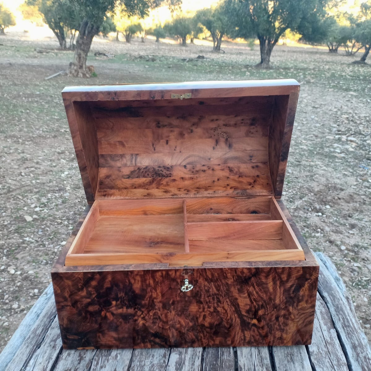  Box Thuja Wood and Juniper Root  White Morocco