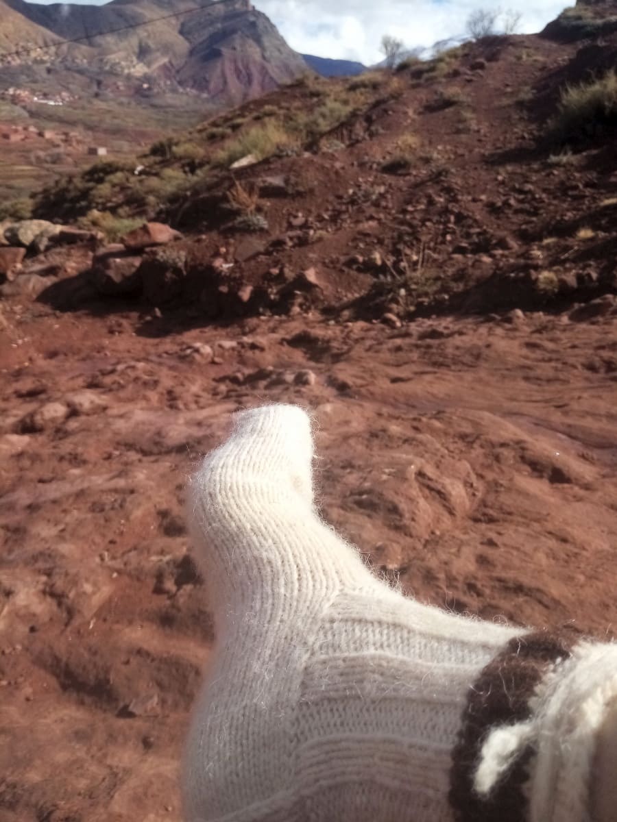  wool socks  Wool Brown, White Morocco