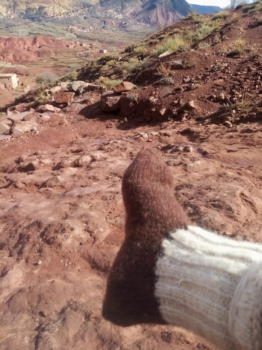  wool socks  Wool Brown, White Morocco