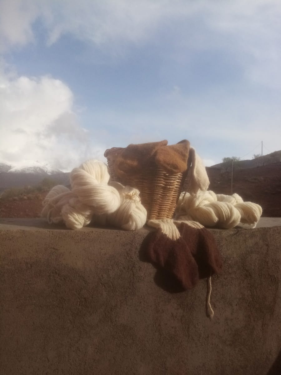  wool socks  Wool Brown, White Morocco