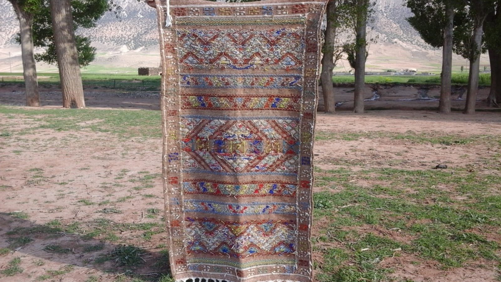 Hanbel Rug