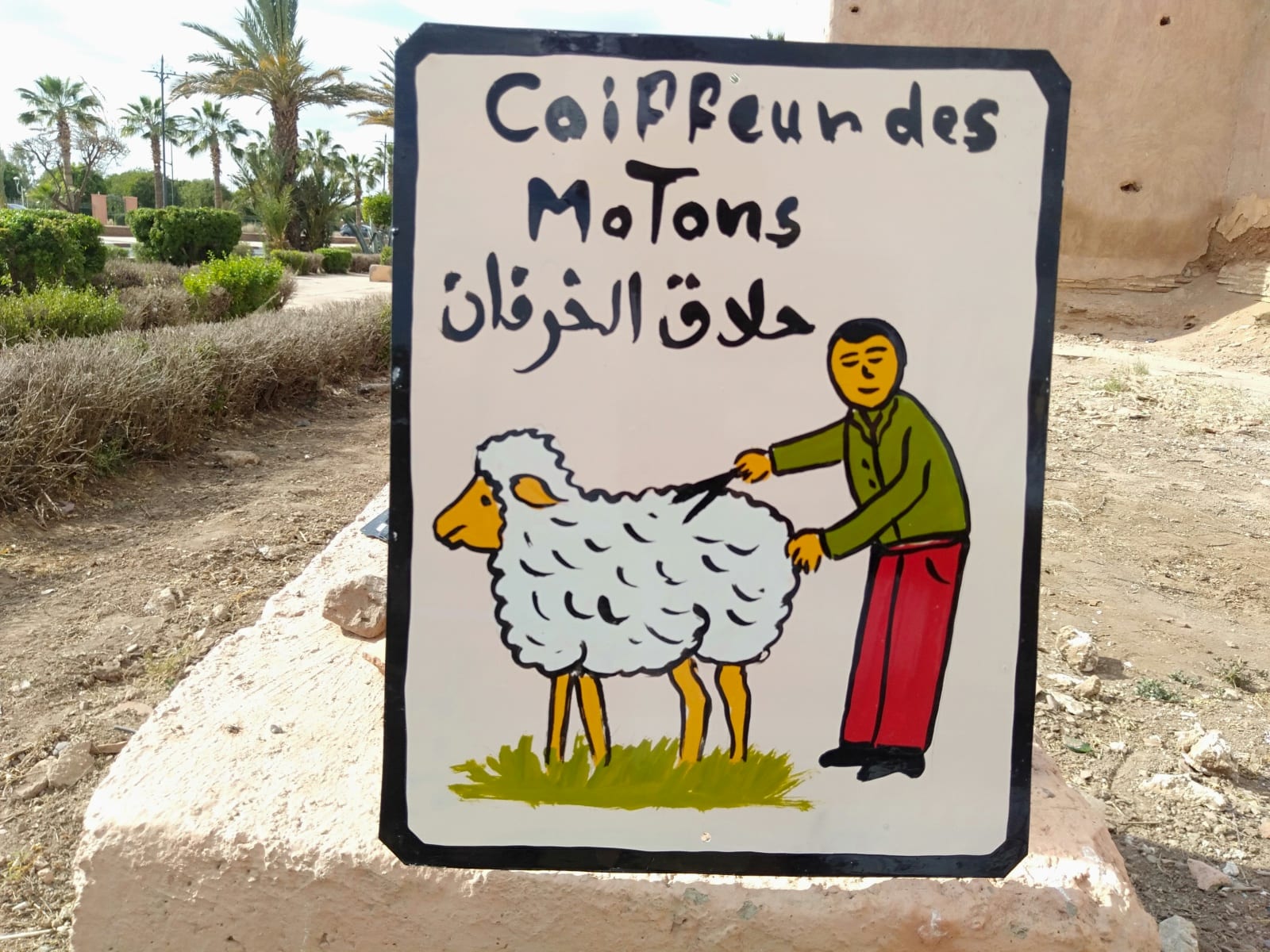  Metal Piece Water-Based Paint Colored Morocco