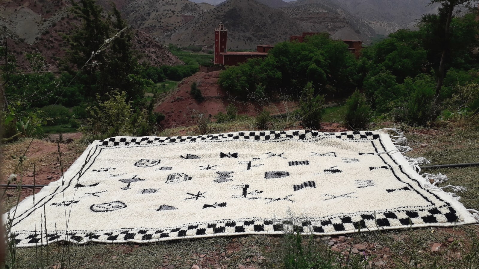  Pile Knot Rug Wool Black, White Morocco
