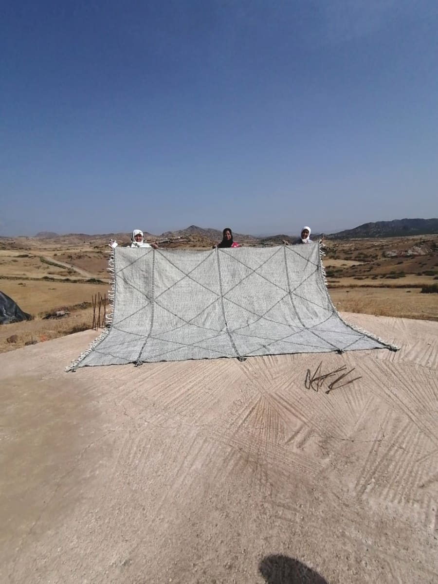 Btaniya Rug