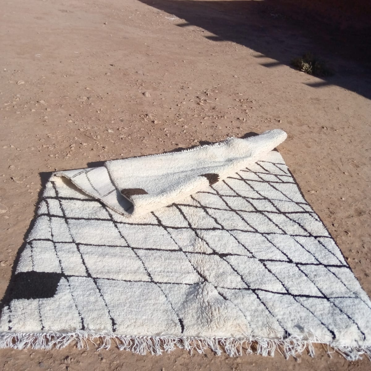  Rug   Black, White Morocco