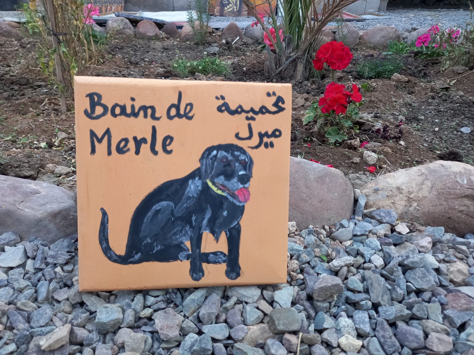  Wooden Piece Wood Colored Morocco