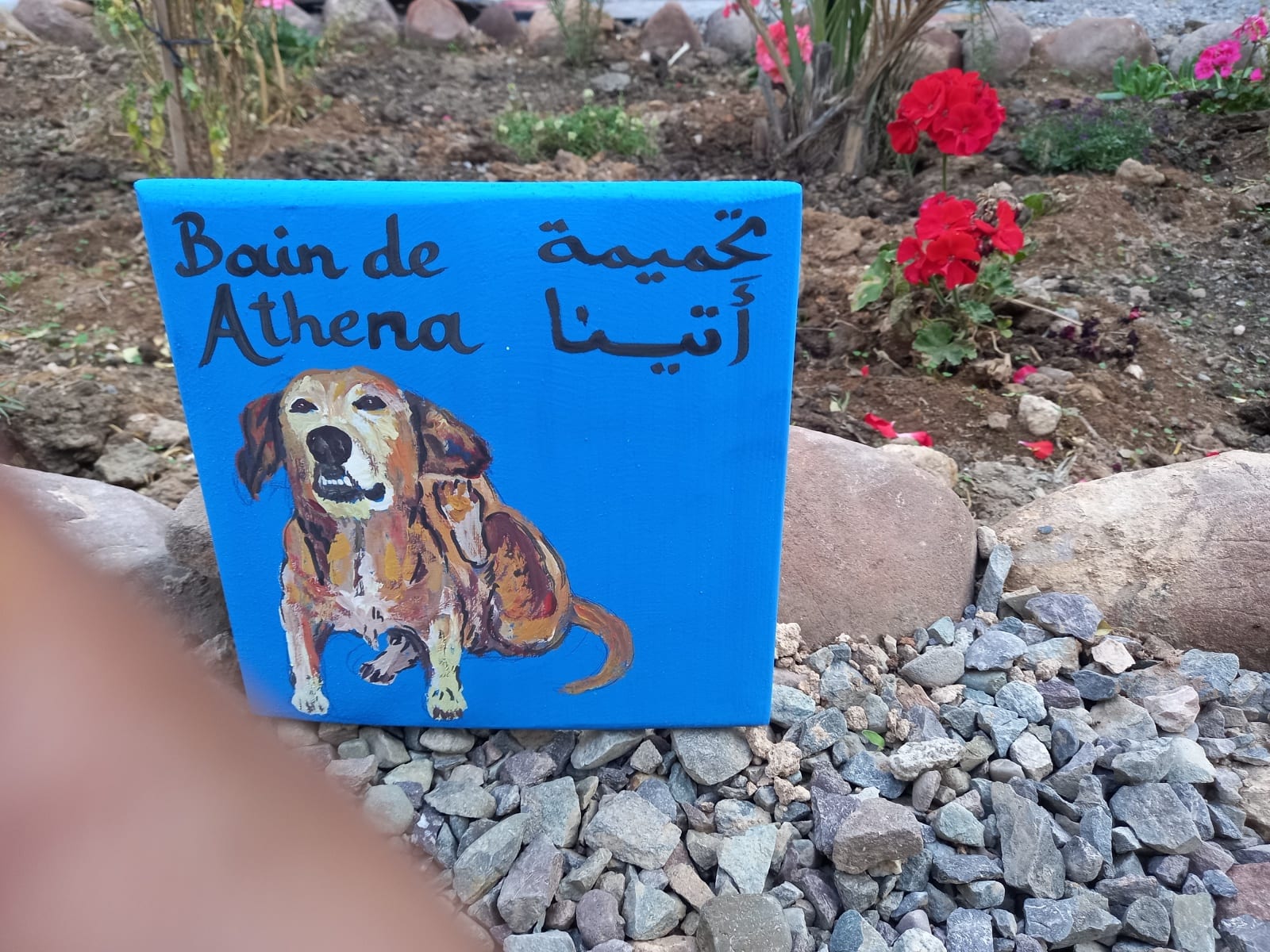  Wooden Piece Wood Colored Morocco