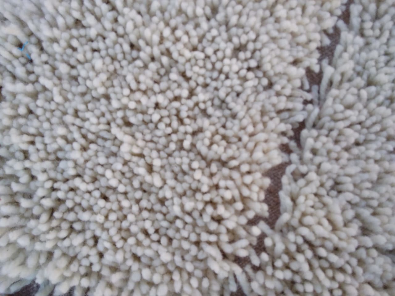 Pileknot Rug