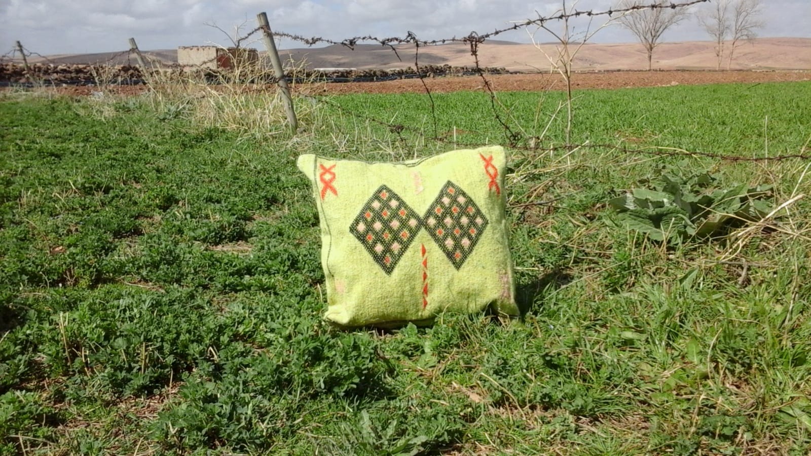 Bamboo Pillow