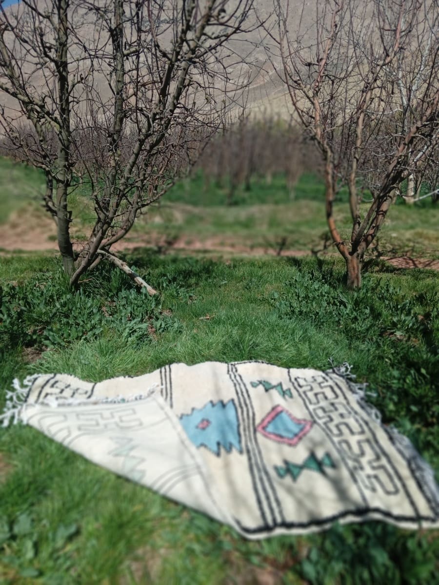  Beni Ourain Wool Colored Morocco