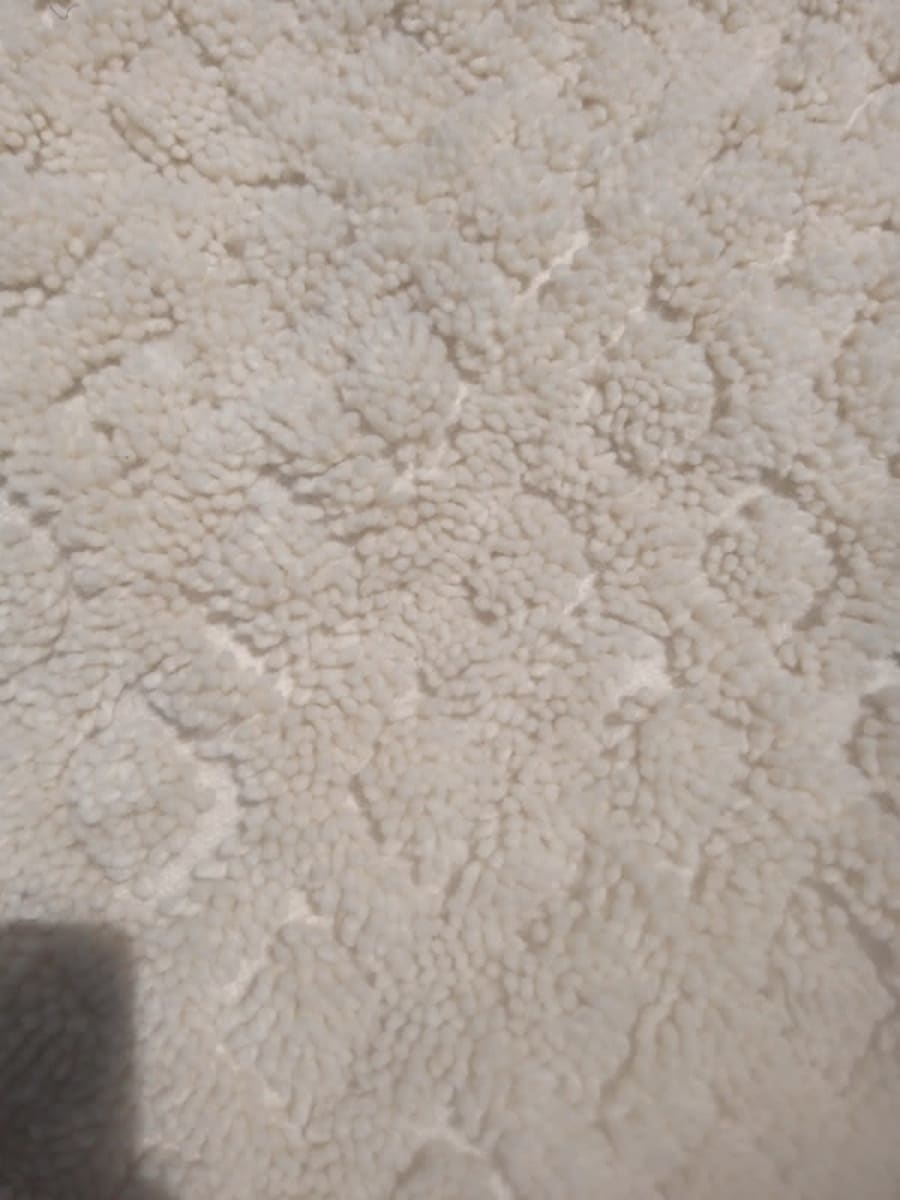  Beni Ourain Rug Wool  and Thread White Morocco