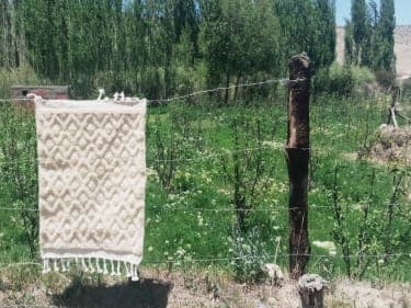  Pile Knot Rug Wool Thread White Morocco