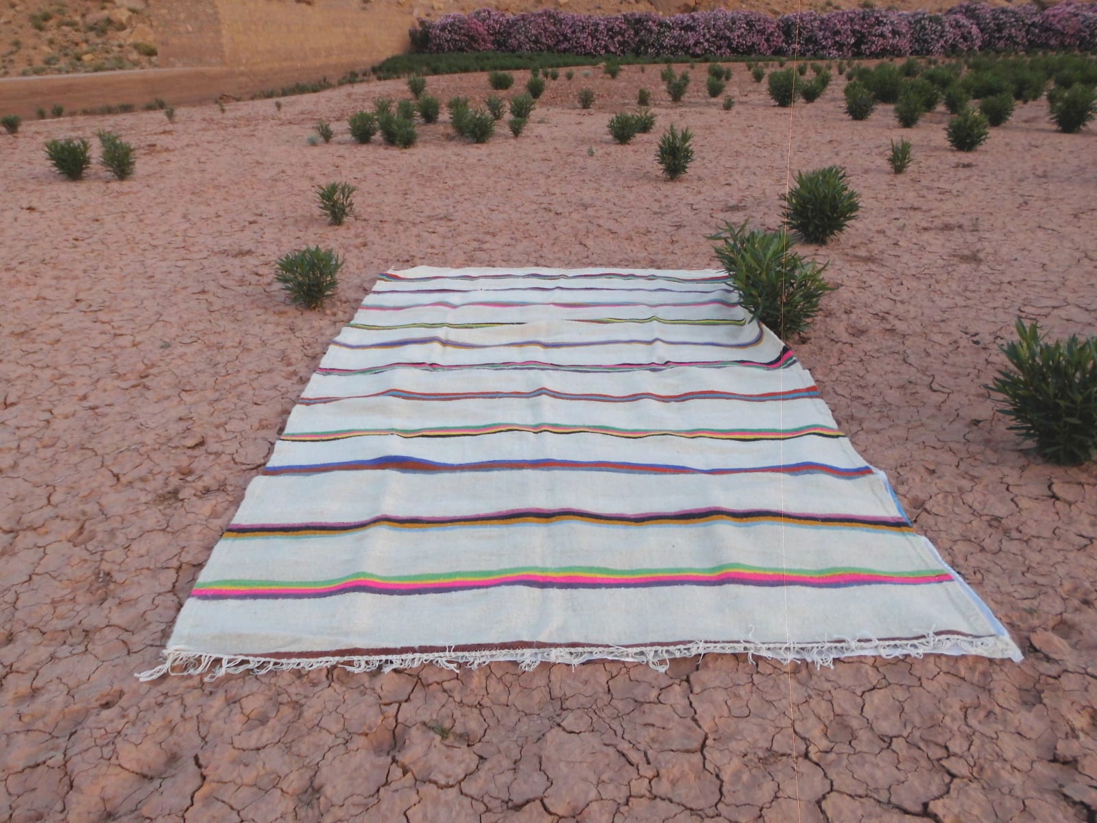 Flatweave Rug