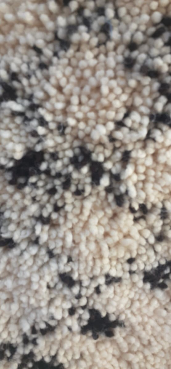  Pile Knot  Brown, White Morocco