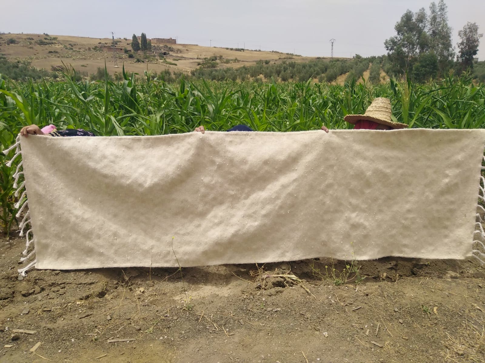 Beni Ourain Rug