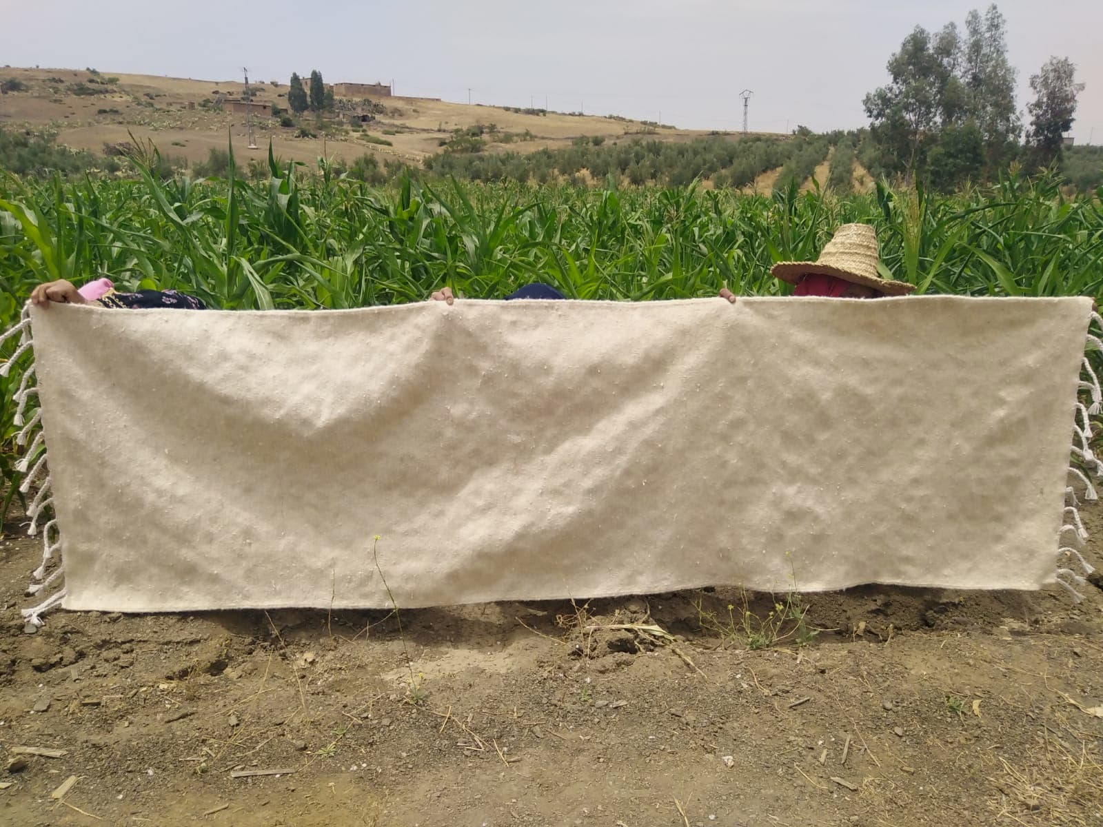 Beni Ourain Rug