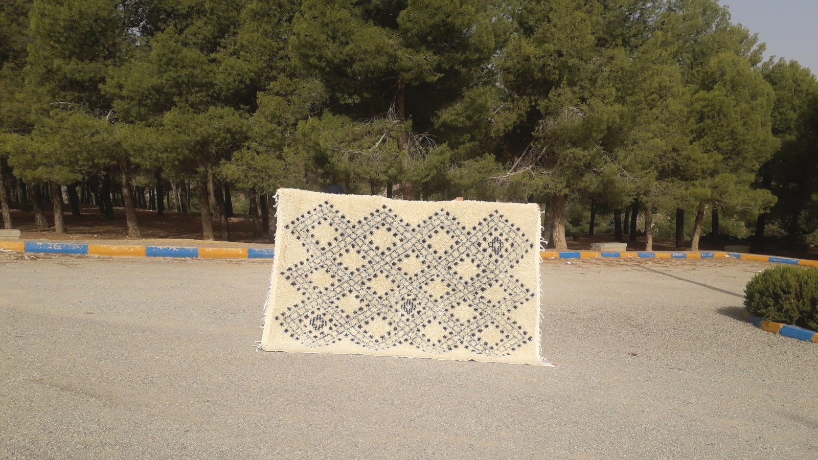 Hanbel flatweave