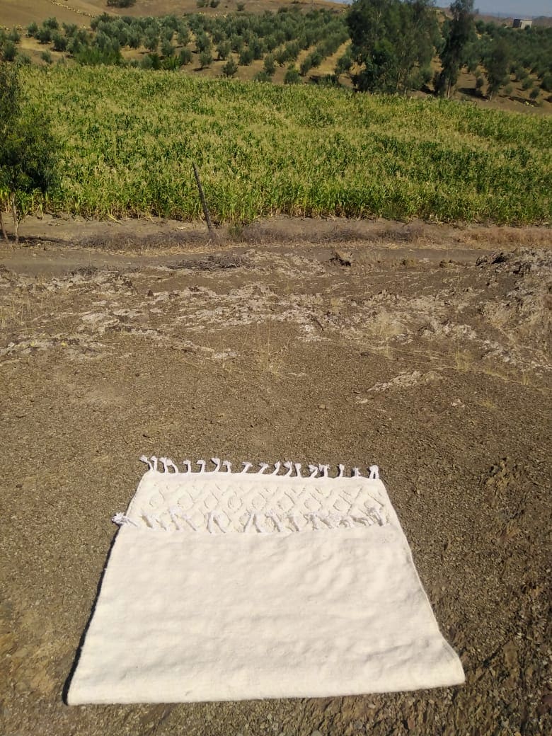 Beni Ourain Rug