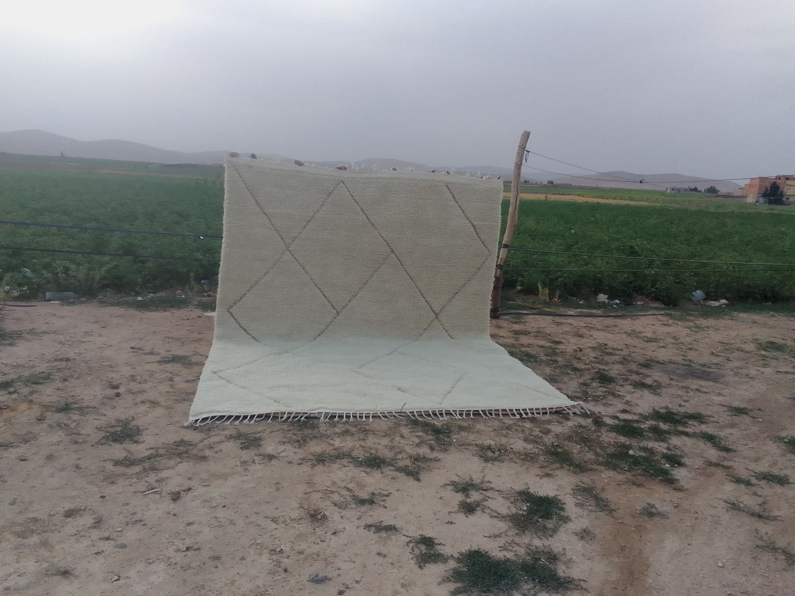 Pileknot Rug