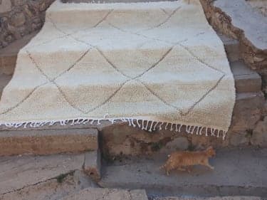  Pile Knot Rug Wool Brown, White Morocco