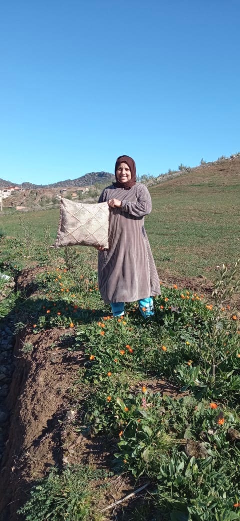 Pillow of wool