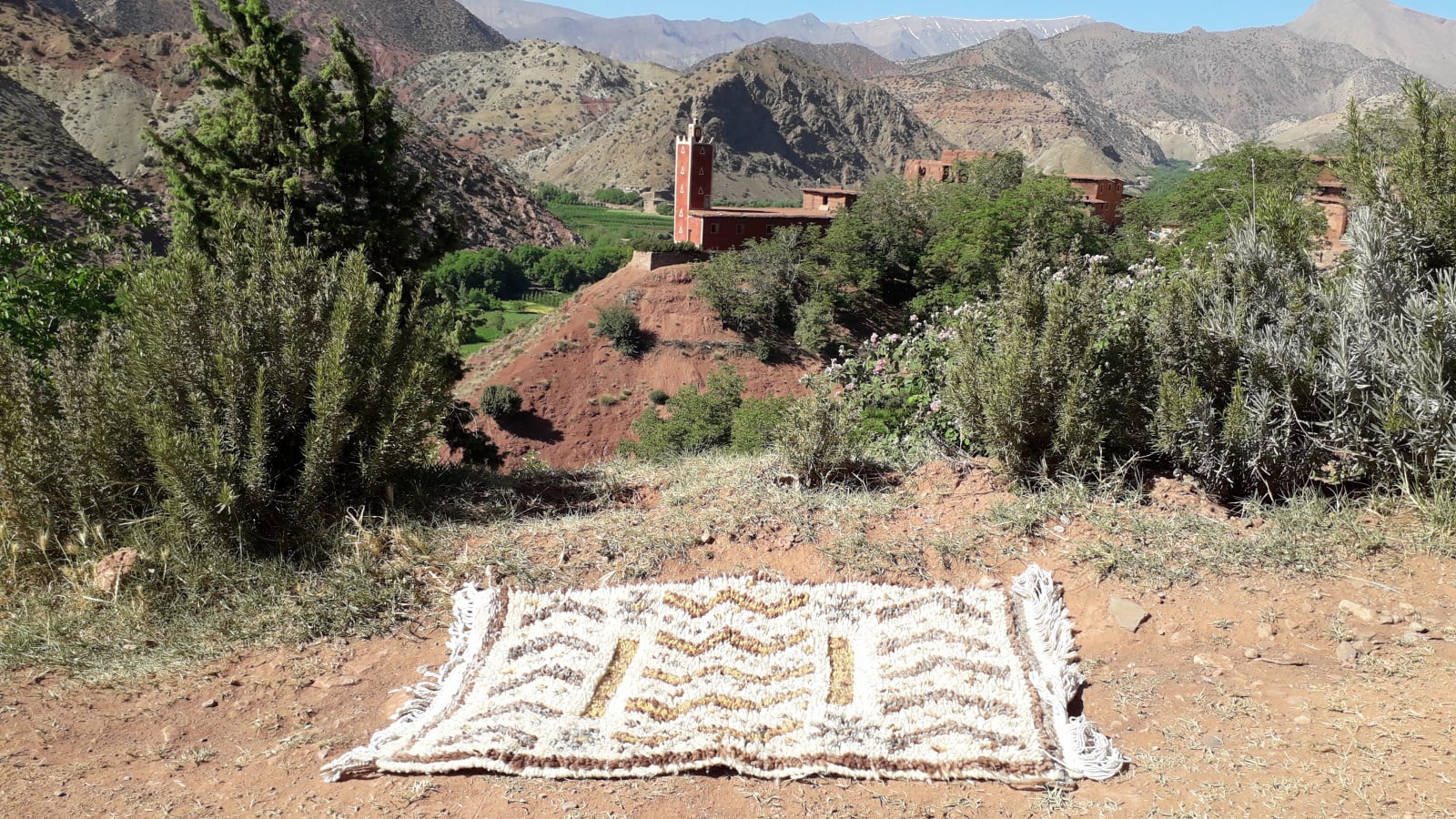  Pile Knot Rug Wool Colored Morocco