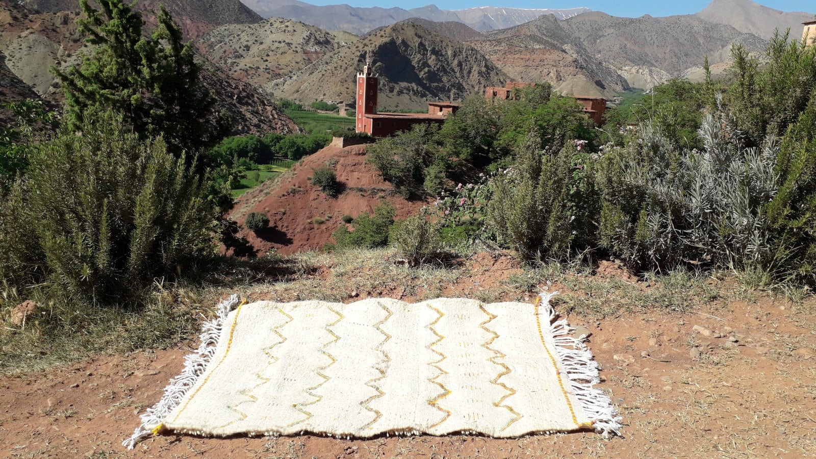  Pile Knot Rug Wool Colored Morocco