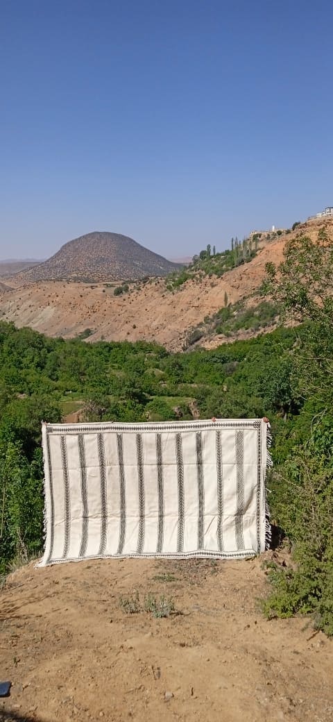  Flatweave  Black, White Morocco