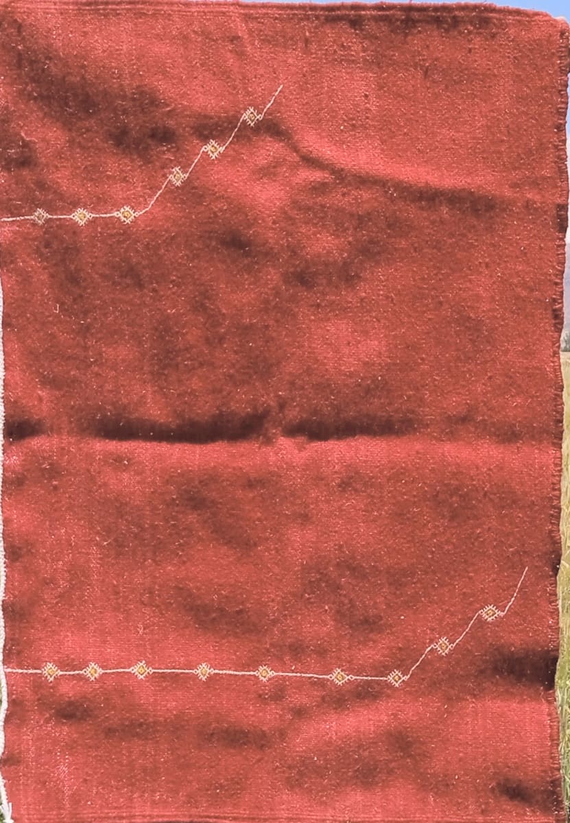 Hanbel Rug