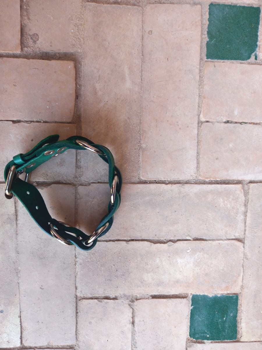  bag leather Green, White Morocco