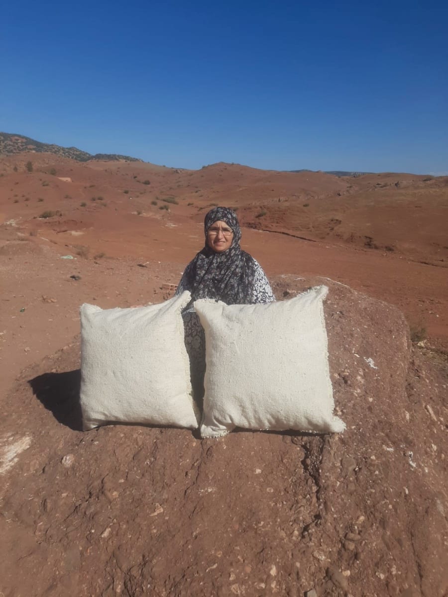 Woven Pillow