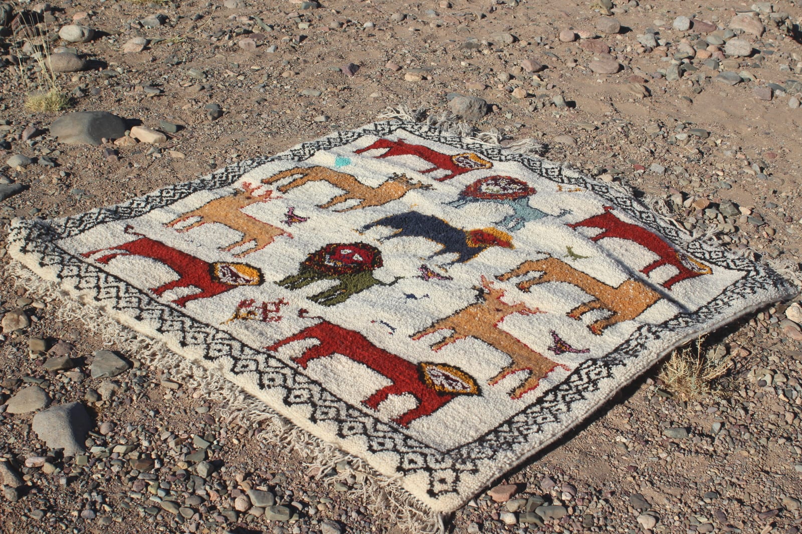  Pileknot Rug  Colored Morocco